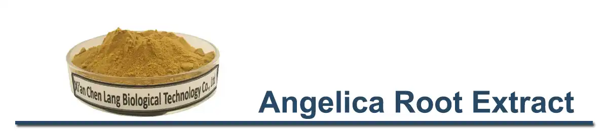 Angelica Root Extract powder.jpg